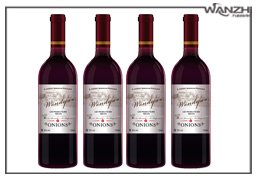 ���Ԅ�(d��ng)�Aƿ�N��(bi��o)�C(j��)_ ���Ԅ�(d��ng)�N��(bi��o)�C(j��)_�|ݸ���f(w��n)־�Ԅ�(d��ng)���Ƽ����޹�˾